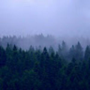 Meet your Posher, Favian